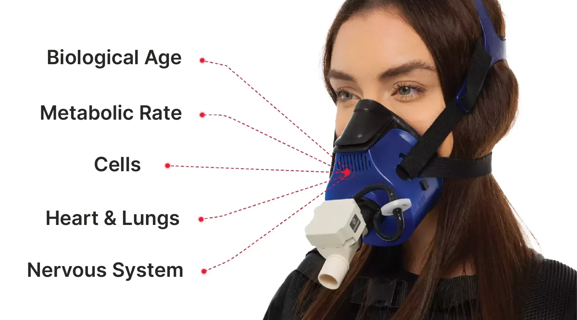 PNOĒ Breath Analyzer
